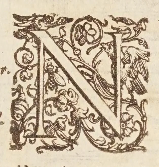 An illustration from Terra machinis mota, eivsqve gravitas, et dimensio, 1655, leaf 11