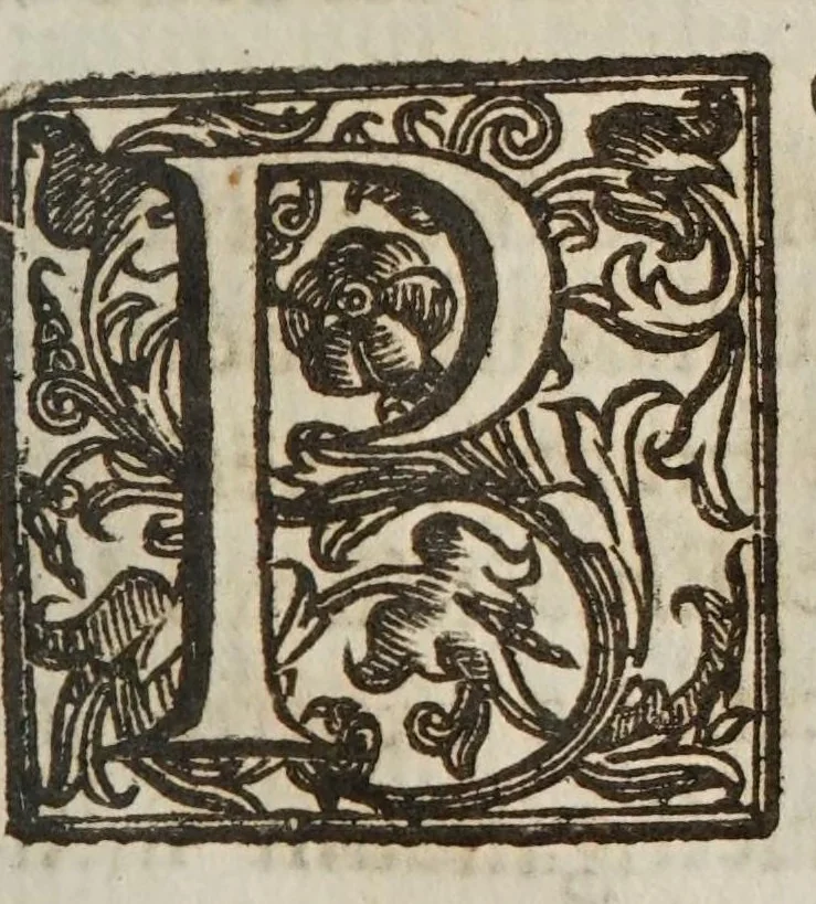 An illustration from Terra machinis mota : dissertationes geometricae, mechanicae, physicae, hydrostaticae : in quibus machinarum coniurgatarum vires inter se comparantur : multiplici noua methodo terrae magnitudo & grauitas inuestigatur : Archimedes terrae motionem spondens ab arrogantiae suspicione vindicatur, 1658, leaf 171