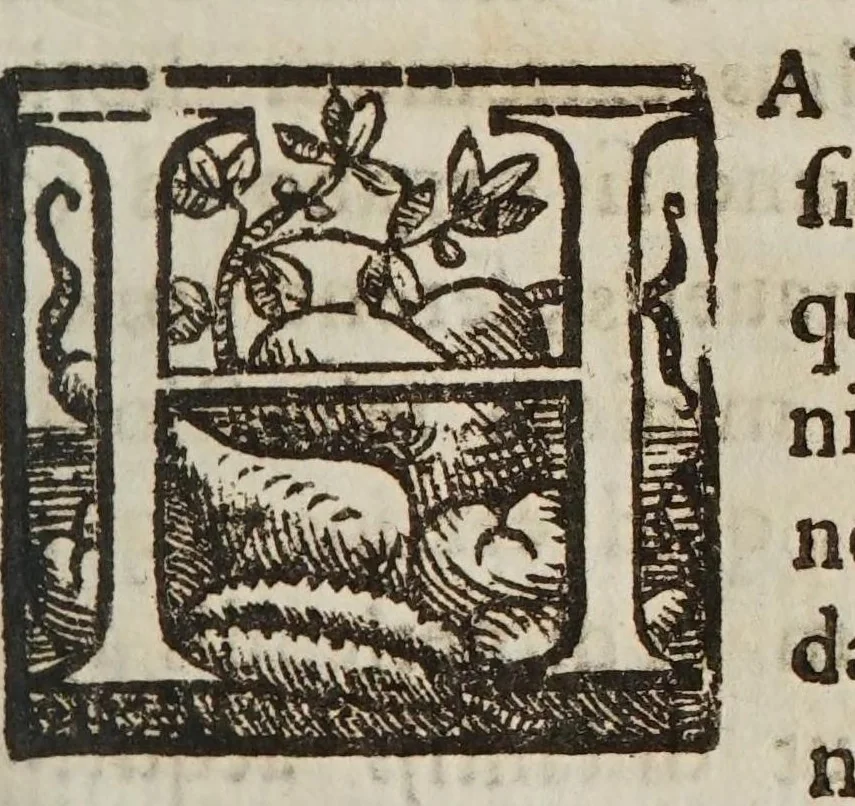 An illustration from Terra machinis mota : dissertationes geometricae, mechanicae, physicae, hydrostaticae : in quibus machinarum coniurgatarum vires inter se comparantur : multiplici noua methodo terrae magnitudo & grauitas inuestigatur : Archimedes terrae motionem spondens ab arrogantiae suspicione vindicatur, 1658, leaf 75