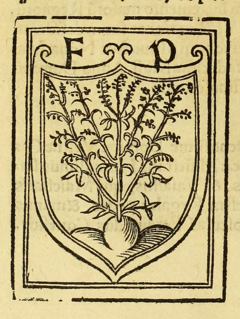 An illustration from Tertia Ferdina[n]di Cortesii Sac. Caesar. et Cath. Maiesta. in nova maris oceani Hyspania generalis præfecti p[rae]clara narratio, : in qua celebris ciuitatis Temixtitan expugnatio, aliaru[m]q[ue] prouintiaru[m], qu[a]e defecerant recuperatio continetur, in quaru[m] expugnatione, recuperatione q[ue] præfectus, una cum Hyspanis victorias æterna memoria dignas consequutus est, pr[a]eterea in ea Mare del Sur Cortesium detexisse rece[n]set[er], quod nos Australe Indicu[m] Pelagus putam[us], [et] alias innumeras prouintias aurifodinis, unionibus, variisq[ue] Gemmarum generibus refertas, et postremo illis innotuisse in eis quoq[ue] aromata contineri,, 1524, leaf 114