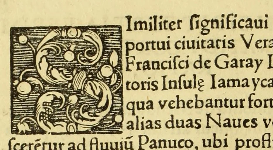 An illustration from Tertia Ferdina[n]di Cortesii Sac. Caesar. et Cath. Maiesta. in nova maris oceani Hyspania generalis præfecti p[rae]clara narratio, : in qua celebris ciuitatis Temixtitan expugnatio, aliaru[m]q[ue] prouintiaru[m], qu[a]e defecerant recuperatio continetur, in quaru[m] expugnatione, recuperatione q[ue] præfectus, una cum Hyspanis victorias æterna memoria dignas consequutus est, pr[a]eterea in ea Mare del Sur Cortesium detexisse rece[n]set[er], quod nos Australe Indicu[m] Pelagus putam[us], [et] alias innumeras prouintias aurifodinis, unionibus, variisq[ue] Gemmarum generibus refertas, et postremo illis innotuisse in eis quoq[ue] aromata contineri,, 1524, leaf 16