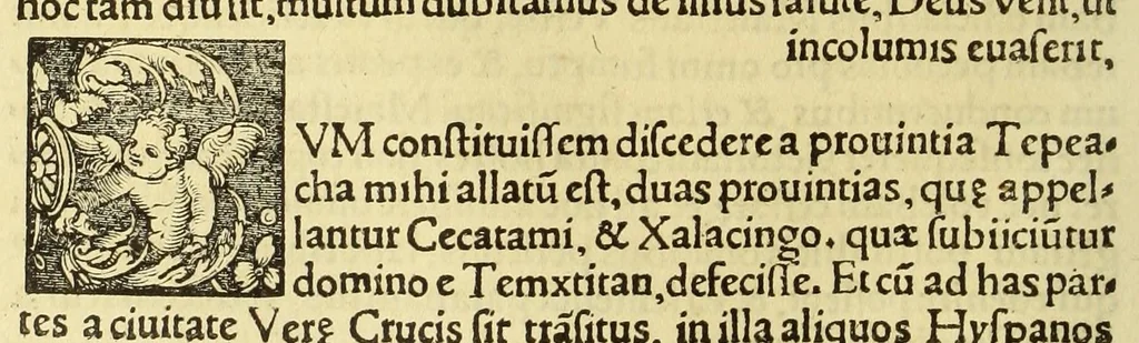 An illustration from Tertia Ferdina[n]di Cortesii Sac. Caesar. et Cath. Maiesta. in nova maris oceani Hyspania generalis præfecti p[rae]clara narratio, : in qua celebris ciuitatis Temixtitan expugnatio, aliaru[m]q[ue] prouintiaru[m], qu[a]e defecerant recuperatio continetur, in quaru[m] expugnatione, recuperatione q[ue] præfectus, una cum Hyspanis victorias æterna memoria dignas consequutus est, pr[a]eterea in ea Mare del Sur Cortesium detexisse rece[n]set[er], quod nos Australe Indicu[m] Pelagus putam[us], [et] alias innumeras prouintias aurifodinis, unionibus, variisq[ue] Gemmarum generibus refertas, et postremo illis innotuisse in eis quoq[ue] aromata contineri,, 1524, leaf 16