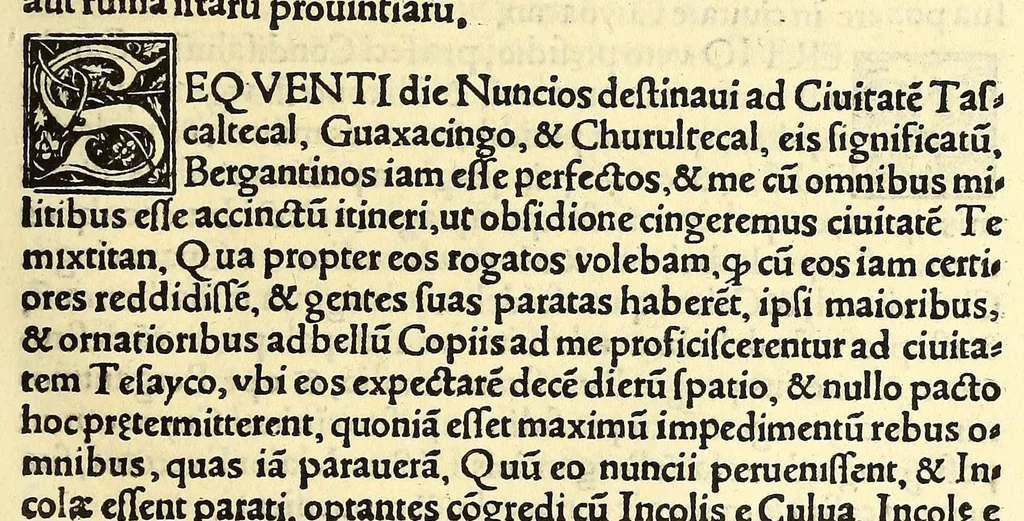 An illustration from Tertia Ferdina[n]di Cortesii Sac. Caesar. et Cath. Maiesta. in nova maris oceani Hyspania generalis præfecti p[rae]clara narratio, : in qua celebris ciuitatis Temixtitan expugnatio, aliaru[m]q[ue] prouintiaru[m], qu[a]e defecerant recuperatio continetur, in quaru[m] expugnatione, recuperatione q[ue] præfectus, una cum Hyspanis victorias æterna memoria dignas consequutus est, pr[a]eterea in ea Mare del Sur Cortesium detexisse rece[n]set[er], quod nos Australe Indicu[m] Pelagus putam[us], [et] alias innumeras prouintias aurifodinis, unionibus, variisq[ue] Gemmarum generibus refertas, et postremo illis innotuisse in eis quoq[ue] aromata contineri,, 1524, leaf 55