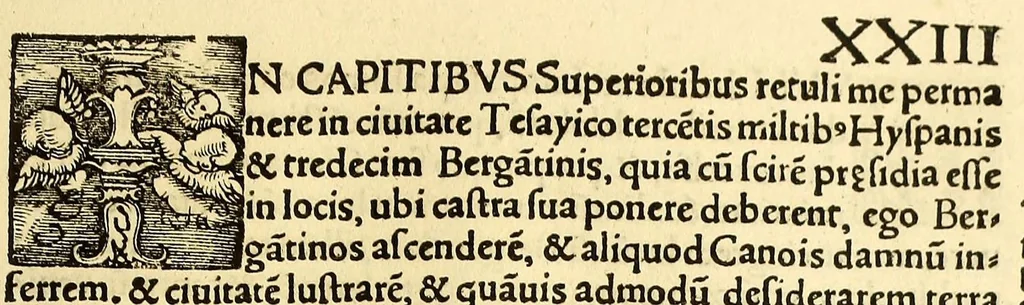 An illustration from Tertia Ferdina[n]di Cortesii Sac. Caesar. et Cath. Maiesta. in nova maris oceani Hyspania generalis præfecti p[rae]clara narratio, : in qua celebris ciuitatis Temixtitan expugnatio, aliaru[m]q[ue] prouintiaru[m], qu[a]e defecerant recuperatio continetur, in quaru[m] expugnatione, recuperatione q[ue] præfectus, una cum Hyspanis victorias æterna memoria dignas consequutus est, pr[a]eterea in ea Mare del Sur Cortesium detexisse rece[n]set[er], quod nos Australe Indicu[m] Pelagus putam[us], [et] alias innumeras prouintias aurifodinis, unionibus, variisq[ue] Gemmarum generibus refertas, et postremo illis innotuisse in eis quoq[ue] aromata contineri,, 1524, leaf 59