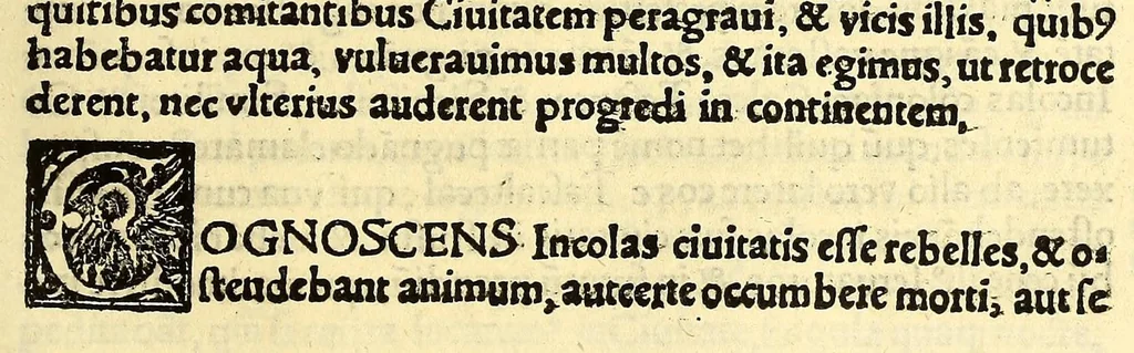 An illustration from Tertia Ferdina[n]di Cortesii Sac. Caesar. et Cath. Maiesta. in nova maris oceani Hyspania generalis præfecti p[rae]clara narratio, : in qua celebris ciuitatis Temixtitan expugnatio, aliaru[m]q[ue] prouintiaru[m], qu[a]e defecerant recuperatio continetur, in quaru[m] expugnatione, recuperatione q[ue] præfectus, una cum Hyspanis victorias æterna memoria dignas consequutus est, pr[a]eterea in ea Mare del Sur Cortesium detexisse rece[n]set[er], quod nos Australe Indicu[m] Pelagus putam[us], [et] alias innumeras prouintias aurifodinis, unionibus, variisq[ue] Gemmarum generibus refertas, et postremo illis innotuisse in eis quoq[ue] aromata contineri,, 1524, leaf 69