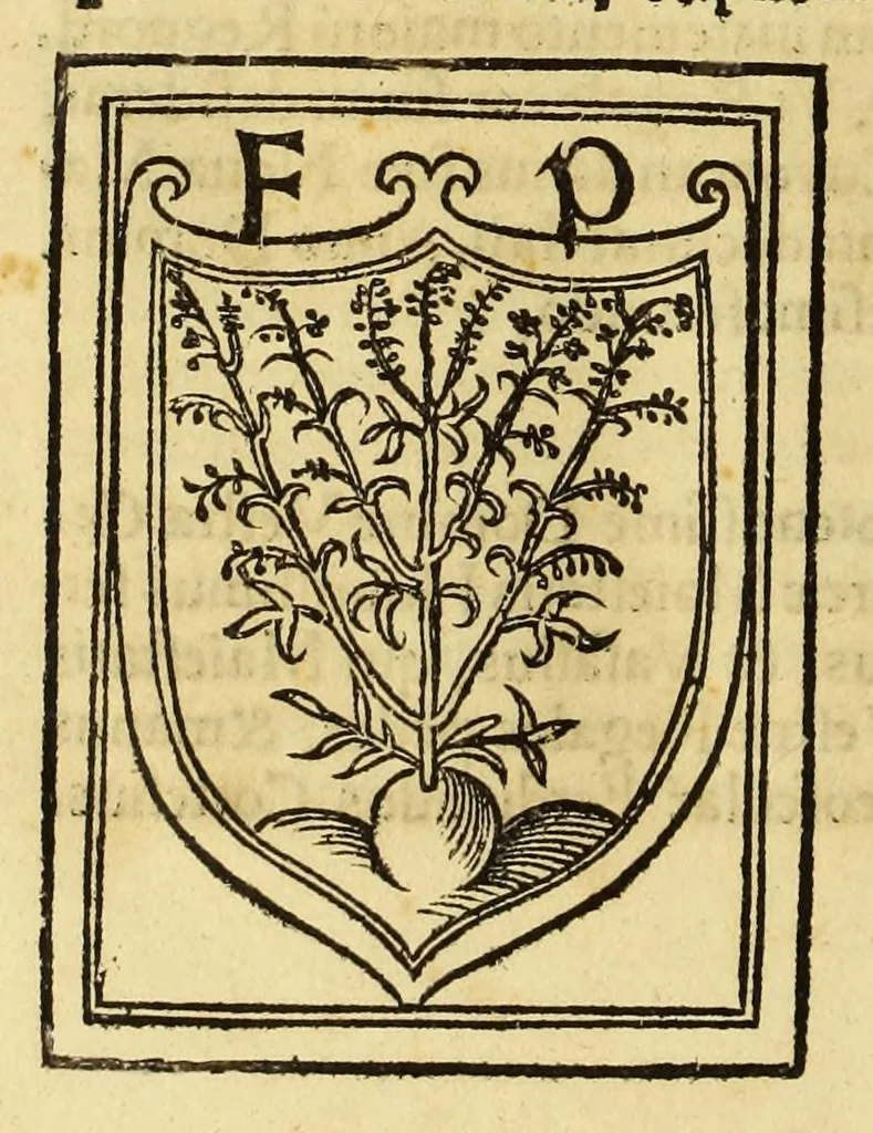 An illustration from Tertia Ferdina[n]di Cortesii Sac. Caesar. et Cath. Maiesta. in nova maris oceani Hyspania generalis præfecti p[rae]clara narratio, : in qua celebris ciuitatis Temixtitan expugnatio, aliaru[m]q[ue] prouintiaru[m], qu[a]e defecerant recuperatio continetur, in quaru[m] expugnatione, recuperatione q[ue] præfectus, una cum Hyspanis victorias æterna memoria dignas consequutus est, pr[a]eterea in ea Mare del Sur Cortesium detexisse rece[n]set[er], quod nos Australe Indicu[m] Pelagus putam[us], [et] alias innumeras prouintias aurifodinis, unionibus, variisq[ue] Gemmarum generibus refertas, et postremo illis innotuisse in eis quoq[ue] aromata contineri,, 1524, leaf 116