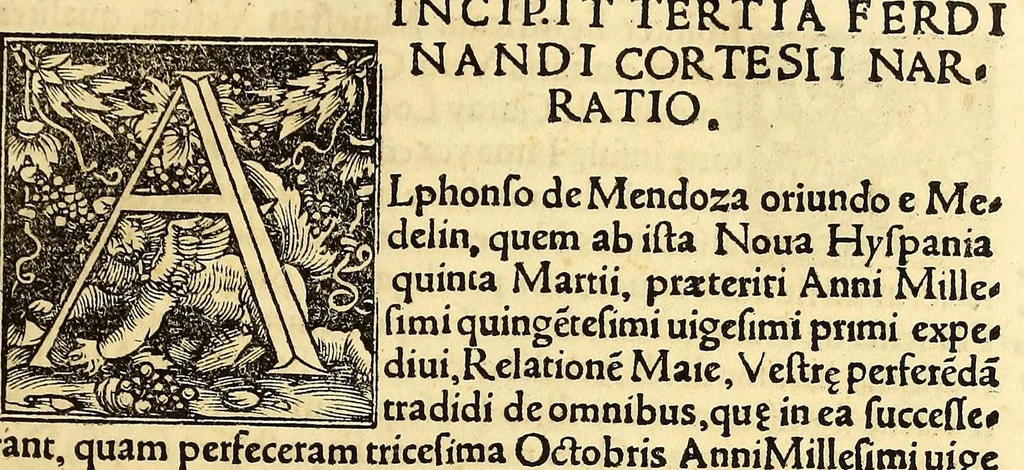 An illustration from Tertia Ferdina[n]di Cortesii Sac. Caesar. et Cath. Maiesta. in nova maris oceani Hyspania generalis præfecti p[rae]clara narratio, : in qua celebris ciuitatis Temixtitan expugnatio, aliaru[m]q[ue] prouintiaru[m], qu[a]e defecerant recuperatio continetur, in quaru[m] expugnatione, recuperatione q[ue] præfectus, una cum Hyspanis victorias æterna memoria dignas consequutus est, pr[a]eterea in ea Mare del Sur Cortesium detexisse rece[n]set[er], quod nos Australe Indicu[m] Pelagus putam[us], [et] alias innumeras prouintias aurifodinis, unionibus, variisq[ue] Gemmarum generibus refertas, et postremo illis innotuisse in eis quoq[ue] aromata contineri,, 1524, leaf 15