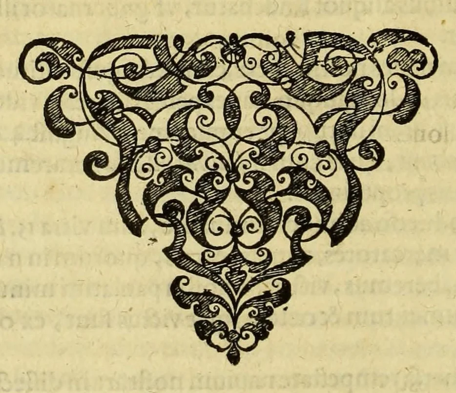 An illustration from Tertia pars Indiae Orientalis: qua continentur I. Secunda pars nauigationum à Ioanne Hugone Lintschotano Hollando in Orientem susceptarum; & maximè situs illarum regionum, & in his insularum, fluminum, riparum, portuum, &c. tum in transitu, tum ipsa India sitorum: vbi iuxta etiam vniuersa, quae autor illic, & postea in reditu versus Hollandiam vidit & notauit, diligenter designantur. : II. Nauigatio Hollandorum in insulas Orientales, Iauan & Sumatram: vbi pariter de morbius, vita, & religione incolarum quaedam haud iniucunda traduntur. III. Tres nauigationes Hollandorum in modò dictam Indiam per septentrionalem seu glacialem oceanum, vbi mira quaedam & stupenda denarrantur., 1601, leaf 82