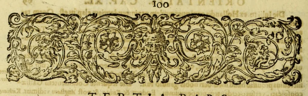 An illustration from Tertia pars Indiae Orientalis: qua continentur I. Secunda pars nauigationum à Ioanne Hugone Lintschotano Hollando in Orientem susceptarum; & maximè situs illarum regionum, & in his insulàrum, fluminum, riparum, portuum, &c. tum in transitu, tum ipsa India sitorum: vbi iuxta etiam vniuersa, quae autor illic, & postea in reditu versus Hollandiam vidit & notauit, diligenter designantur. : II. Nauigatio Hollandorum in insulas Orientales, Iauan & Svmatram: vbi pariter de morbius, vita, & religione incolarum quaedam haud iniucunda traduntur. III. Tres nauigationes Hollandorum in modo dictam Indiam per septentrionalem seu glacialem oceanum, vbi mira quaedam & stupenda denarrantur. Quibus iam de nouo accesserunt aliae de anno M.D.XVIII. vsq[ue] M.D.C.XXIX. historiae memorabiles, & notatu dignissimae., 1629, leaf 128