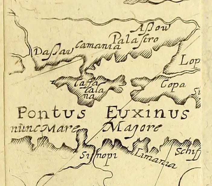 An illustration from Tertia pars Indiae Orientalis: qua continentur I. Secunda pars nauigationum à Ioanne Hugone Lintschotano Hollando in Orientem susceptarum; & maximè situs illarum regionum, & in his insulàrum, fluminum, riparum, portuum, &c. tum in transitu, tum ipsa India sitorum: vbi iuxta etiam vniuersa, quae autor illic, & postea in reditu versus Hollandiam vidit & notauit, diligenter designantur. : II. Nauigatio Hollandorum in insulas Orientales, Iauan & Svmatram: vbi pariter de morbius, vita, & religione incolarum quaedam haud iniucunda traduntur. III. Tres nauigationes Hollandorum in modo dictam Indiam per septentrionalem seu glacialem oceanum, vbi mira quaedam & stupenda denarrantur. Quibus iam de nouo accesserunt aliae de anno M.D.XVIII. vsq[ue] M.D.C.XXIX. historiae memorabiles, & notatu dignissimae., 1629, leaf 63