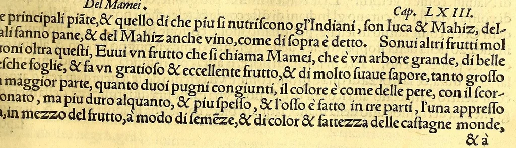 An illustration from Terzo volume delle nauigationi et viaggi, 1565, leaf 211