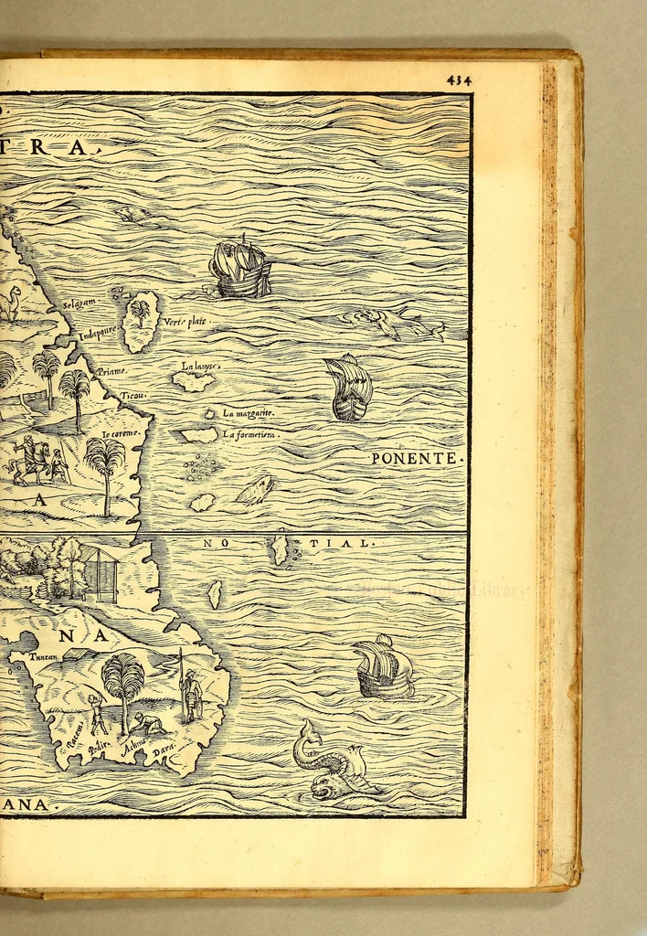 An illustration from Terzo volume delle nauigationi et viaggi, 1565, leaf 957