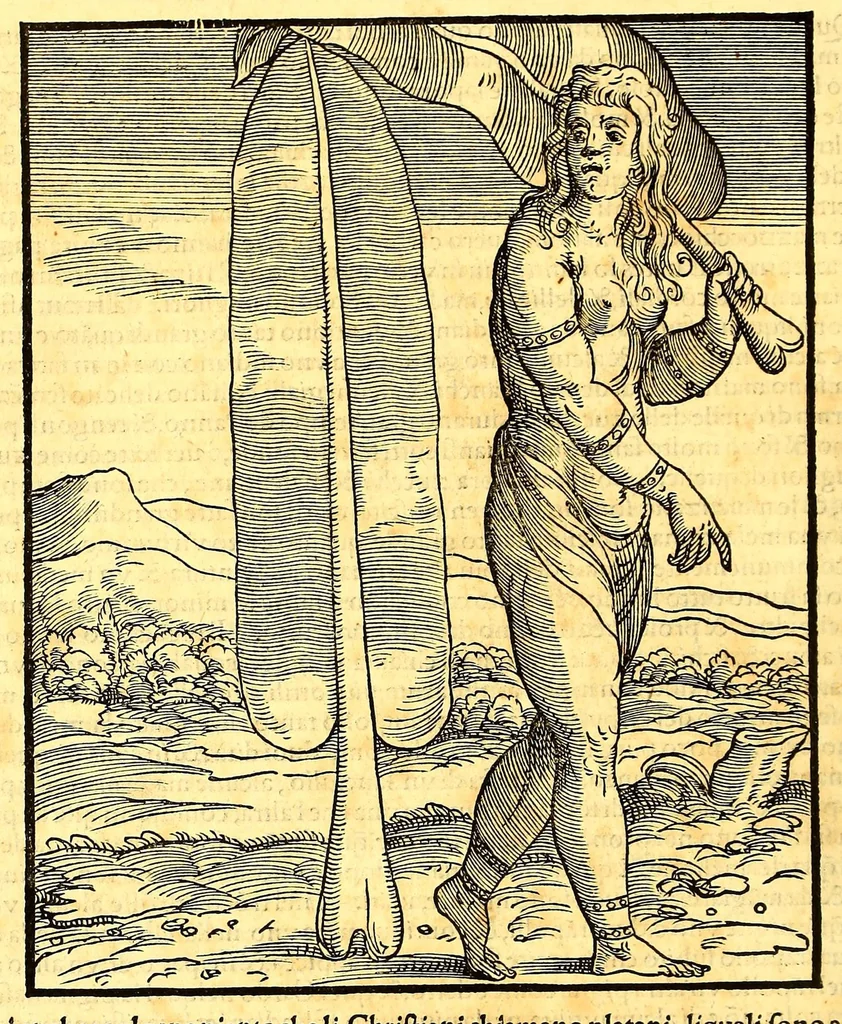 An illustration from Terzo volume delle nauigationi et viaggi nel quale si contengono le nauigationi al Mondo Nuouo ... le nauigationi fatte dipoi alle dette Indie ... Si come dimostrano le diuerse relationi,, 1556, leaf 220