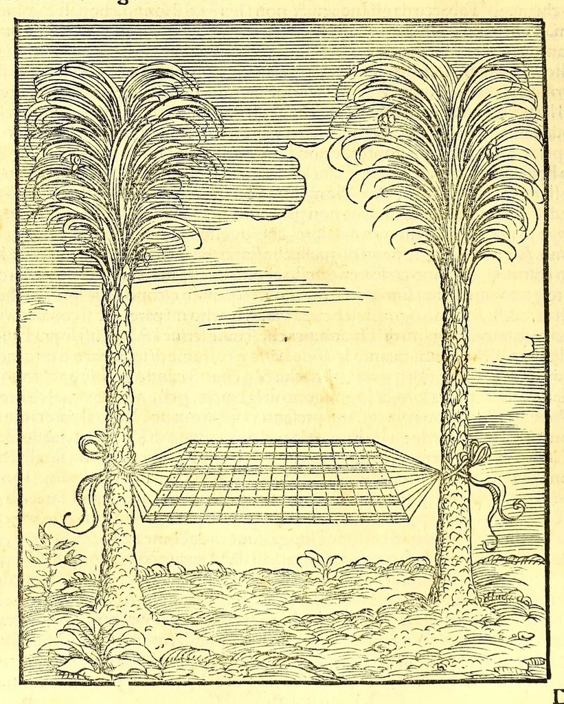 An illustration from Terzo volume delle nauigationi et viaggi nel quale si contengono le nauigationi al Mondo Nuouo ... le nauigationi fatte dipoi alle dette Indie ... Si come dimostrano le diuerse relationi,, 1556, leaf 310