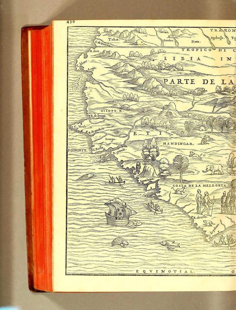 An illustration from Terzo volume delle nauigationi et viaggi nel quale si contengono le nauigationi al Mondo Nuouo ... le nauigationi fatte dipoi alle dette Indie ... Si come dimostrano le diuerse relationi,, 1556, leaf 944