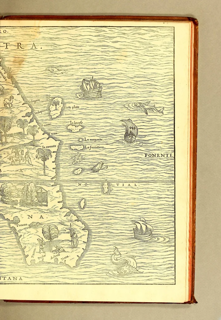 An illustration from Terzo volume delle nauigationi et viaggi nel quale si contengono le nauigationi al Mondo Nuouo ... le nauigationi fatte dipoi alle dette Indie ... Si come dimostrano le diuerse relationi,, 1556, leaf 951