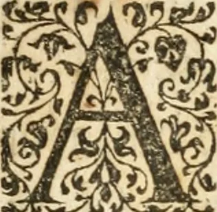 An illustration from Tesoro de las tres lenguas; española, francesa, y italiana .., 1667, leaf 11