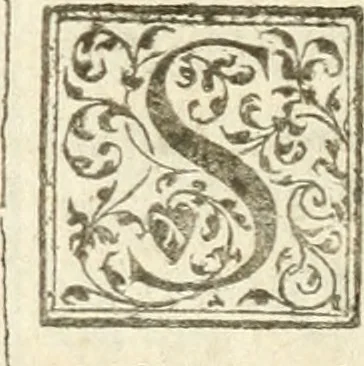 An illustration from Tesoro de las tres lenguas; española, francesa, y italiana .., 1667, leaf 497