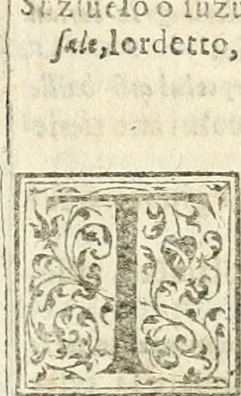 An illustration from Tesoro de las tres lenguas; española, francesa, y italiana .., 1667, leaf 524