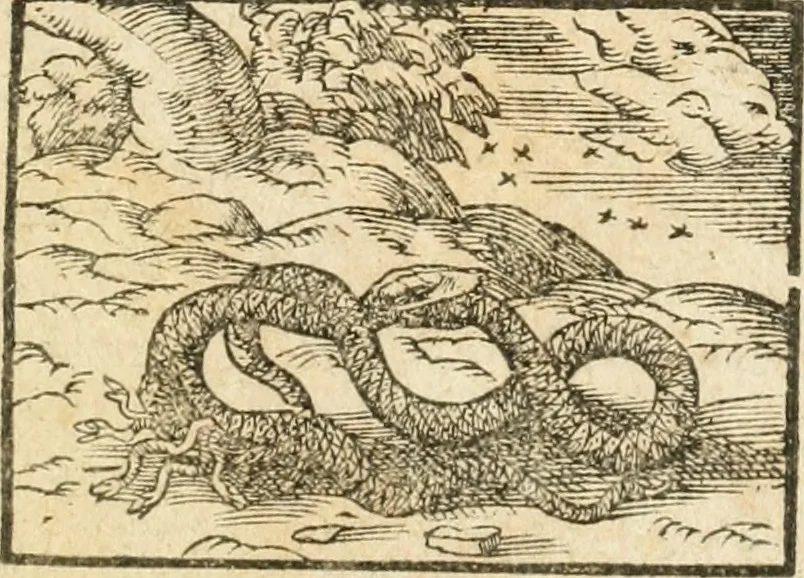 An illustration from Tesoro de las tres lenguas; española, francesa, y italiana .., 1667, leaf 8