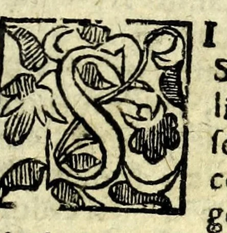 An illustration from Tesoro delle gioie : trattato curioso, nel quale si dichiara breuemente le virtù, qualità, e proprietà delle gioie, come perle, gemme, auori, vnicorni, bezaari, cocco, malacca, balsami, contr' herba, muschio, ambra, zibetto : e molt' altre cose più famose, e pregiate di tutti li diligenti scrittori antichi, moderni, arabi, greci, latini, italiani, sacri, & altri : lodate, stimate e conosciute saluteuoli e medicinali, 1676, leaf 17