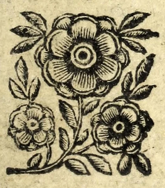 An illustration from Tesoro delle gioie : trattato curioso, nel quale si dichiara breuemente le virtù, qualità, e proprietà delle gioie, come perle, gemme, auori, vnicorni, bezaari, cocco, malacca, balsami, contr' herba, muschio, ambra, zibetto : e molt' altre cose più famose, e pregiate di tutti li diligenti scrittori antichi, moderni, arabi, greci, latini, italiani, sacri, & altri : lodate, stimate e conosciute saluteuoli e medicinali, 1676, leaf 5
