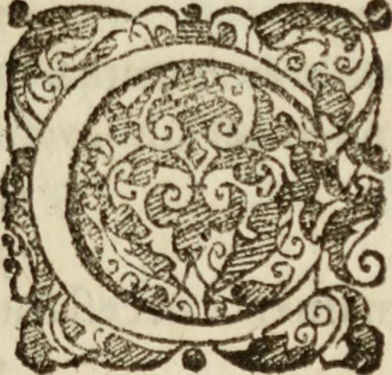 An illustration from Tesoro politico in cvi si contengono relationi : istruttioni, trattati, & varij discorsi, pertinenti alla perfetta intelligenza della ragion di stato. Et all'intiera cognitione de gl'interessi, & dipendenze de' più gran prencipi, & signori del mondo. Diviso in tre parti, 1602, leaf 10