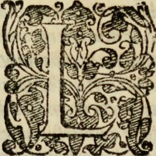 An illustration from Tesoro politico in cvi si contengono relationi : istruttioni, trattati, & varij discorsi, pertinenti alla perfetta intelligenza della ragion di stato. Et all'intiera cognitione de gl'interessi, & dipendenze de' più gran prencipi, & signori del mondo. Diviso in tre parti, 1602, leaf 108
