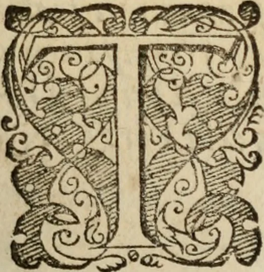An illustration from Tesoro politico in cvi si contengono relationi : istruttioni, trattati, & varij discorsi, pertinenti alla perfetta intelligenza della ragion di stato. Et all'intiera cognitione de gl'interessi, & dipendenze de' più gran prencipi, & signori del mondo. Diviso in tre parti, 1602, leaf 14