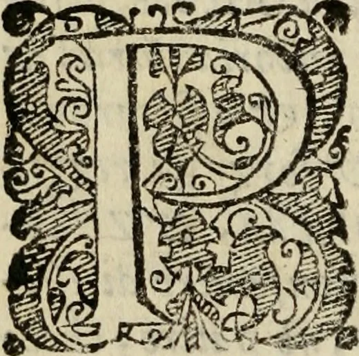 An illustration from Tesoro politico in cvi si contengono relationi : istruttioni, trattati, & varij discorsi, pertinenti alla perfetta intelligenza della ragion di stato. Et all'intiera cognitione de gl'interessi, & dipendenze de' più gran prencipi, & signori del mondo. Diviso in tre parti, 1602, leaf 151