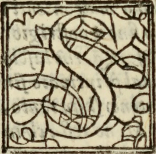 An illustration from Tesoro politico in cvi si contengono relationi : istruttioni, trattati, & varij discorsi, pertinenti alla perfetta intelligenza della ragion di stato. Et all'intiera cognitione de gl'interessi, & dipendenze de' più gran prencipi, & signori del mondo. Diviso in tre parti, 1602, leaf 198