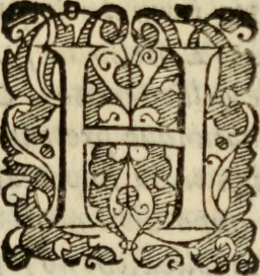 An illustration from Tesoro politico in cvi si contengono relationi : istruttioni, trattati, & varij discorsi, pertinenti alla perfetta intelligenza della ragion di stato. Et all'intiera cognitione de gl'interessi, & dipendenze de' più gran prencipi, & signori del mondo. Diviso in tre parti, 1602, leaf 208