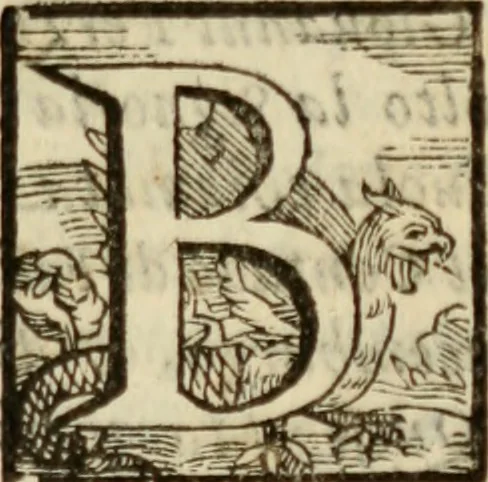 An illustration from Tesoro politico in cvi si contengono relationi : istruttioni, trattati, & varij discorsi, pertinenti alla perfetta intelligenza della ragion di stato. Et all'intiera cognitione de gl'interessi, & dipendenze de' più gran prencipi, & signori del mondo. Diviso in tre parti, 1602, leaf 286
