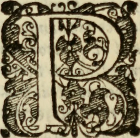 An illustration from Tesoro politico in cvi si contengono relationi : istruttioni, trattati, & varij discorsi, pertinenti alla perfetta intelligenza della ragion di stato. Et all'intiera cognitione de gl'interessi, & dipendenze de' più gran prencipi, & signori del mondo. Diviso in tre parti, 1602, leaf 302