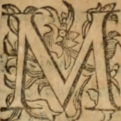 An illustration from Tesoro politico in cvi si contengono relationi : istruttioni, trattati, & varij discorsi, pertinenti alla perfetta intelligenza della ragion di stato. Et all'intiera cognitione de gl'interessi, & dipendenze de' più gran prencipi, & signori del mondo. Diviso in tre parti, 1602, leaf 382