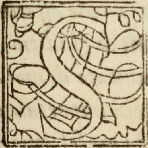 An illustration from Tesoro politico in cvi si contengono relationi : istruttioni, trattati, & varij discorsi, pertinenti alla perfetta intelligenza della ragion di stato. Et all'intiera cognitione de gl'interessi, & dipendenze de' più gran prencipi, & signori del mondo. Diviso in tre parti, 1602, leaf 4