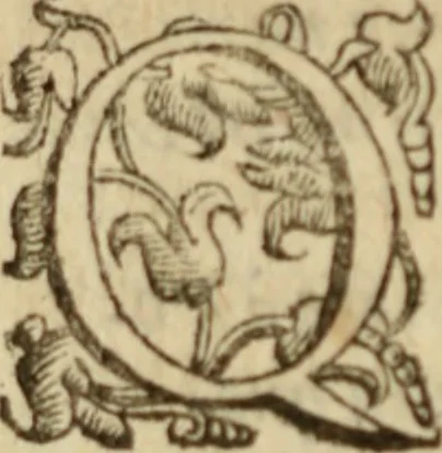 An illustration from Tesoro politico in cvi si contengono relationi : istruttioni, trattati, & varij discorsi, pertinenti alla perfetta intelligenza della ragion di stato. Et all'intiera cognitione de gl'interessi, & dipendenze de' più gran prencipi, & signori del mondo. Diviso in tre parti, 1602, leaf 403