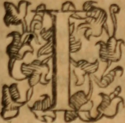 An illustration from Tesoro politico in cvi si contengono relationi : istruttioni, trattati, & varij discorsi, pertinenti alla perfetta intelligenza della ragion di stato. Et all'intiera cognitione de gl'interessi, & dipendenze de' più gran prencipi, & signori del mondo. Diviso in tre parti, 1602, leaf 448