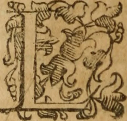 An illustration from Tesoro politico in cvi si contengono relationi : istruttioni, trattati, & varij discorsi, pertinenti alla perfetta intelligenza della ragion di stato. Et all'intiera cognitione de gl'interessi, & dipendenze de' più gran prencipi, & signori del mondo. Diviso in tre parti, 1602, leaf 459