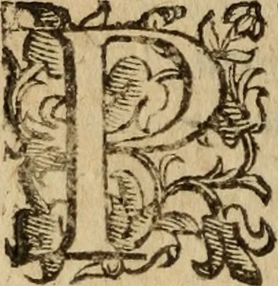 An illustration from Tesoro politico in cvi si contengono relationi : istruttioni, trattati, & varij discorsi, pertinenti alla perfetta intelligenza della ragion di stato. Et all'intiera cognitione de gl'interessi, & dipendenze de' più gran prencipi, & signori del mondo. Diviso in tre parti, 1602, leaf 655