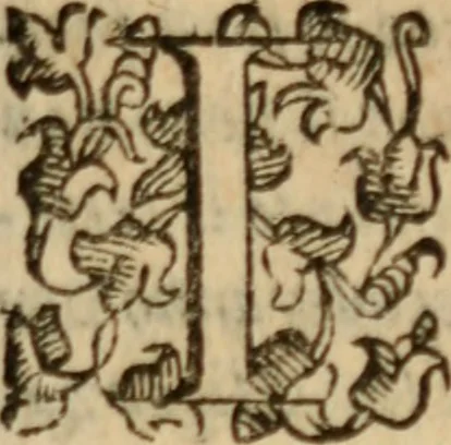 An illustration from Tesoro politico in cvi si contengono relationi : istruttioni, trattati, & varij discorsi, pertinenti alla perfetta intelligenza della ragion di stato. Et all'intiera cognitione de gl'interessi, & dipendenze de' più gran prencipi, & signori del mondo. Diviso in tre parti, 1602, leaf 672