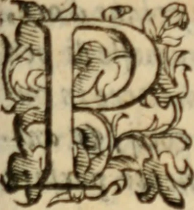 An illustration from Tesoro politico in cvi si contengono relationi : istruttioni, trattati, & varij discorsi, pertinenti alla perfetta intelligenza della ragion di stato. Et all'intiera cognitione de gl'interessi, & dipendenze de' più gran prencipi, & signori del mondo. Diviso in tre parti, 1602, leaf 680