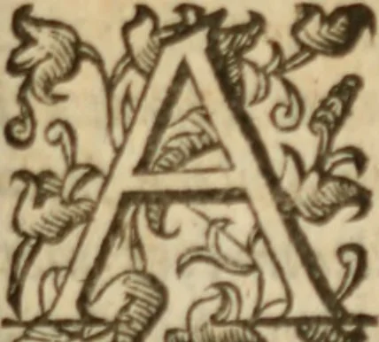 An illustration from Tesoro politico in cvi si contengono relationi : istruttioni, trattati, & varij discorsi, pertinenti alla perfetta intelligenza della ragion di stato. Et all'intiera cognitione de gl'interessi, & dipendenze de' più gran prencipi, & signori del mondo. Diviso in tre parti, 1602, leaf 684