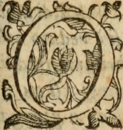 An illustration from Tesoro politico in cvi si contengono relationi : istruttioni, trattati, & varij discorsi, pertinenti alla perfetta intelligenza della ragion di stato. Et all'intiera cognitione de gl'interessi, & dipendenze de' più gran prencipi, & signori del mondo. Diviso in tre parti, 1602, leaf 750