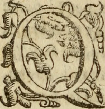 An illustration from Tesoro politico in cvi si contengono relationi : istruttioni, trattati, & varij discorsi, pertinenti alla perfetta intelligenza della ragion di stato. Et all'intiera cognitione de gl'interessi, & dipendenze de' più gran prencipi, & signori del mondo. Diviso in tre parti, 1602, leaf 757