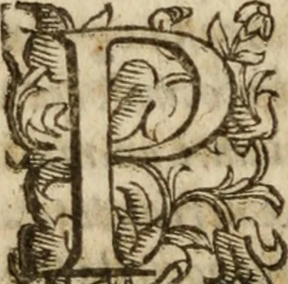 An illustration from Tesoro politico in cvi si contengono relationi : istruttioni, trattati, & varij discorsi, pertinenti alla perfetta intelligenza della ragion di stato. Et all'intiera cognitione de gl'interessi, & dipendenze de' più gran prencipi, & signori del mondo. Diviso in tre parti, 1602, leaf 761