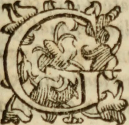 An illustration from Tesoro politico in cvi si contengono relationi : istruttioni, trattati, & varij discorsi, pertinenti alla perfetta intelligenza della ragion di stato. Et all'intiera cognitione de gl'interessi, & dipendenze de' più gran prencipi, & signori del mondo. Diviso in tre parti, 1602, leaf 764