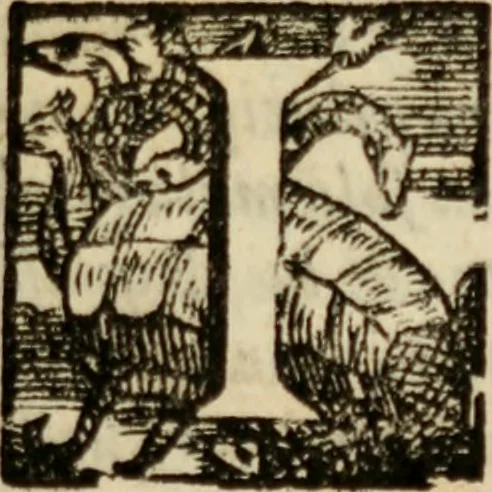 An illustration from Tesoro politico in cvi si contengono relationi : istruttioni, trattati, & varij discorsi, pertinenti alla perfetta intelligenza della ragion di stato. Et all'intiera cognitione de gl'interessi, & dipendenze de' più gran prencipi, & signori del mondo. Diviso in tre parti, 1602, leaf 772