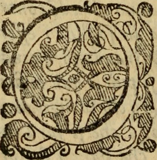 An illustration from Tesoro politico in cvi si contengono relationi : istruttioni, trattati, & varij discorsi, pertinenti alla perfetta intelligenza della ragion di stato. Et all'intiera cognitione de gl'interessi, & dipendenze de' più gran prencipi, & signori del mondo. Diviso in tre parti, 1602, leaf 795