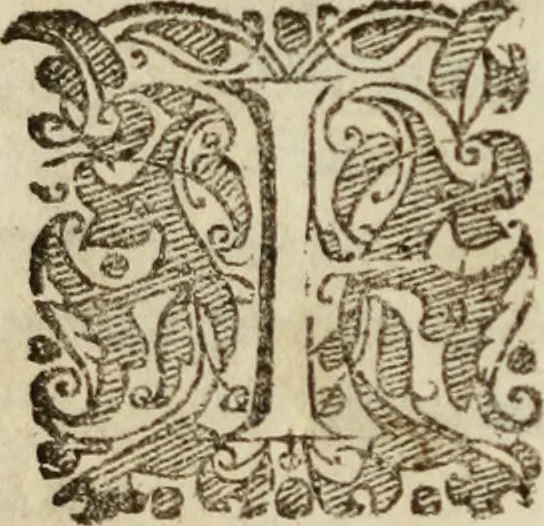An illustration from Tesoro politico in cvi si contengono relationi : istruttioni, trattati, & varij discorsi, pertinenti alla perfetta intelligenza della ragion di stato. Et all'intiera cognitione de gl'interessi, & dipendenze de' più gran prencipi, & signori del mondo. Diviso in tre parti, 1602, leaf 157